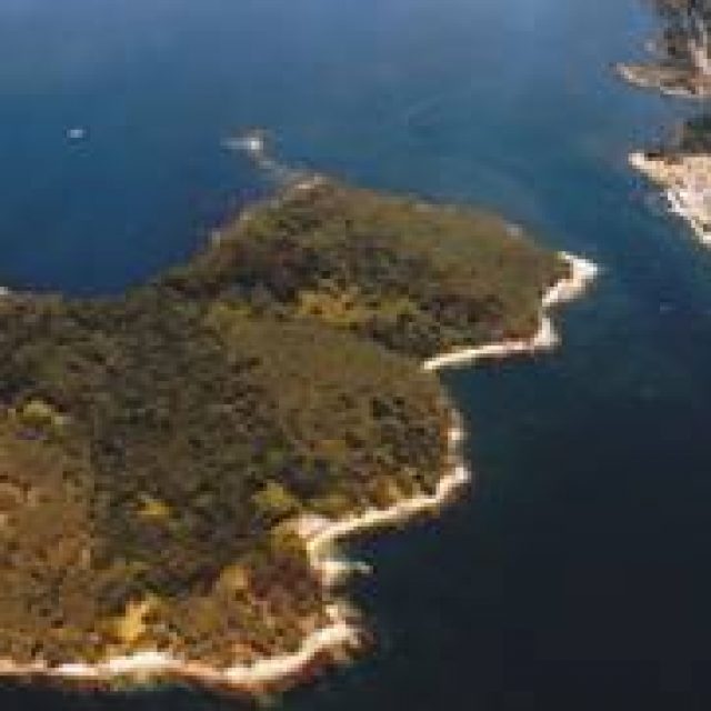 Illa de Cortegada